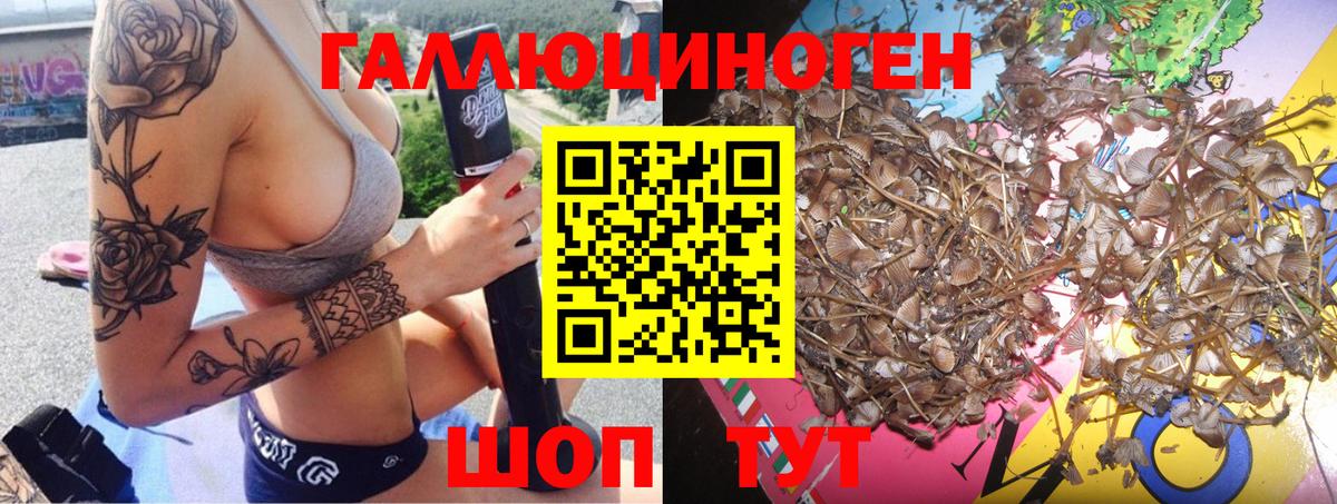 Кызыл  Галлюциногенные грибы мицелий  Вход с VPN 